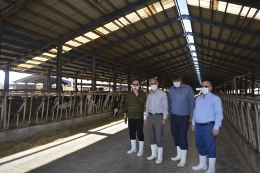 بازدید مدیرکل تأمین اجتماعی قزوین